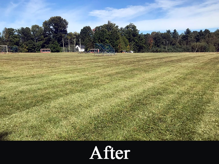 Our Work