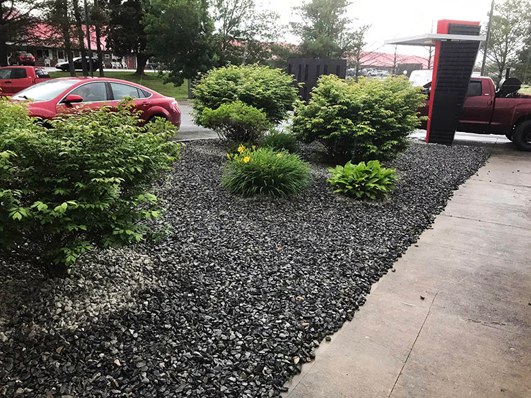 Our Work
